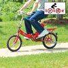 Electric Folding Bike II