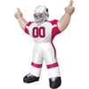 Arizona Cardinals Tiny