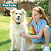 Wireless Pet Fence