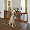 Expandable Wood Pet Gate