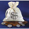 Bankers Bag Old Rare Coins