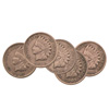 Indian Head Penny Collectors Set