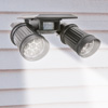 Solar Twin Spot Security Light