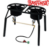 Dual Burner Cooker