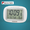 Big Screen Atomic Clock