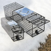 Live Trap - 2 Pack
