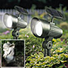 2 Pack Solar Accent Lights