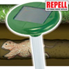 Solar Powered Mole Repeller