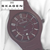 Skagen Ceramic Watch