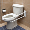 Foldaway Grab Bar
