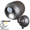 Motion Act Outdoor Light
