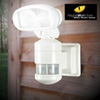 Night Watch Security Light