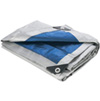 Tarp