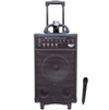 Pyle Pro Wireless Powered iPod® PA System