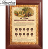 10 Years of Indian Head Pennies - Wood Frame