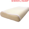 Cool Mesh Memory Foam Pillow