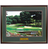Augusta #16 Framed Art