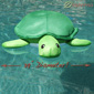 NeoNoodle Pool Petz