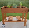 Patio Garden Box