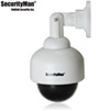 Dummy Indoor/Outdoor Speed Dome Camera