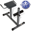 Apex Roman Chair