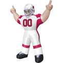 Arizona Cardinals Tiny