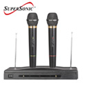Professional Dual Wireless Microphone System