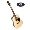 Peavey Acoustic Guitar with Chord Buddy