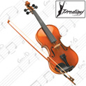 Violin