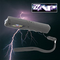 black-zap-stick-stun-gun