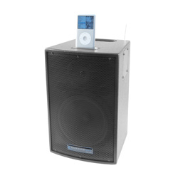 8 Inch Battery Powered PA System&nbsp;&nbsp;Model#&nbsp;WASP500