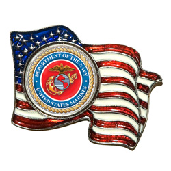 Armed Forces Colorized Quarter Flag Pin - Marines