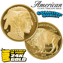 2010 50 Dollar US Buffalo Proof Model# 1865