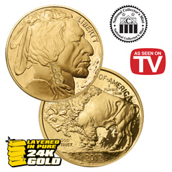 2012 US $50 Buffalo Gold Proof Model# 69441W