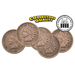 Indian Head Penny Collectors Set
