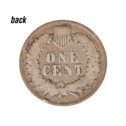 Indian Head Penny Collectors Set
