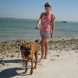 Supercollar Dog Collar - Large&nbsp;&nbsp;Model#&nbsp;SC2011L
