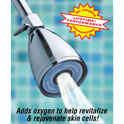 5-Star Resort Showerhead - Brushed Nickel Model# 42123