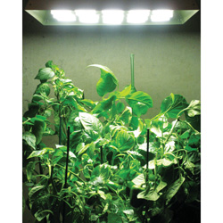 2 Pack Ultra Grow Lites Model# 605038X2