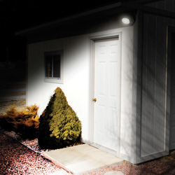 216 LED PAR 38 Warm Bulb Model# EL-PAR38-WW