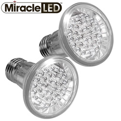 2 Pack 4 Watt LED Outdoor Light Bulb&nbsp;&nbsp;Model#&nbsp;605027