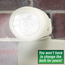 2 Pack 4 Watt LED Outdoor Light Bulb&nbsp;&nbsp;Model#&nbsp;605027