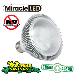 Miracle LED Recessed Bulb&nbsp;&nbsp;Model#&nbsp;603001