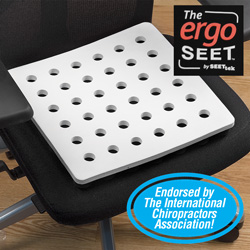 ErgoSeet Cushion Model# 00200BOX