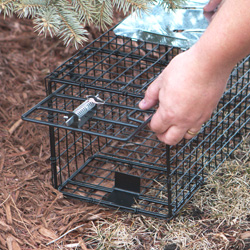 Extra Large Live Trap&nbsp;&nbsp;Model#&nbsp;TC-XL