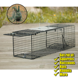 3 Pack Live Trap - Small/Medium/Large&nbsp;&nbsp;Model#&nbsp;TC-SML