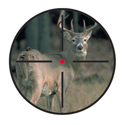 Barnett Wildcat Crossbow&nbsp;&nbsp;Model#&nbsp;78073-BLACK