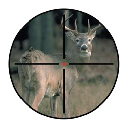 Rifle Jaguar Crossbow&nbsp;&nbsp;Model#&nbsp;CR-013A2