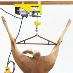 Electric Garage Hoist&nbsp;&nbsp;Model#&nbsp;605700