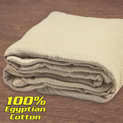 Wamsutta Dream Zone Blanket Model# 1599063